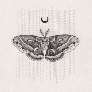 Moth (Interlude)