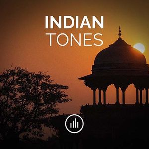 Indian Drones