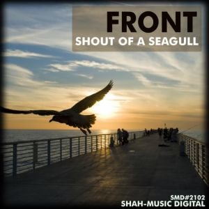 Shout of a Seagull (EP)