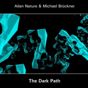 The Dark Path