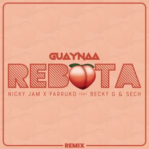 Rebota (remix)