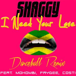 I Need Your Love (dancehall remix)