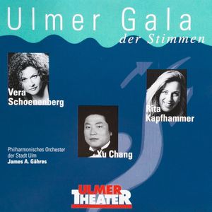 Ulmer Gala der Stimmen 2002 (Live)