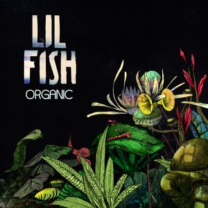 Organic (EP)