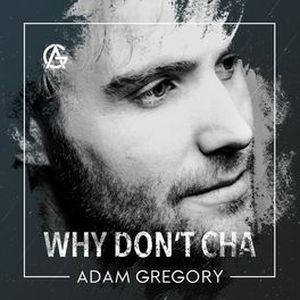 Why Don't Cha (Single)