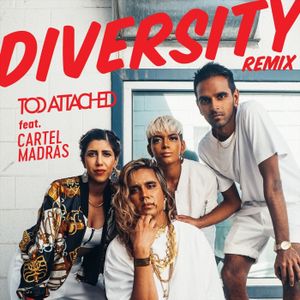 Diversity (remix) (Single)