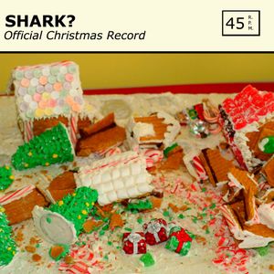 Official Christmas Record (Single)