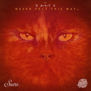 Never Felt This Way EP (EP)