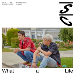 What a life - The 1st Mini Album (EP)