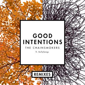 Good Intentions (Speaker of the House remix)