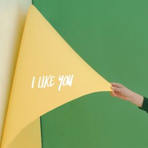 I Like You (Single)