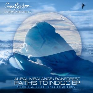 Paths to Indigo (Single)