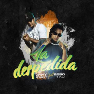 La despedida (remix)