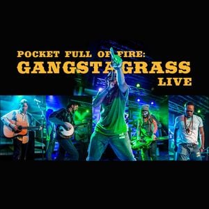 Pocket Full Of Fire: Gangstagrass Live (Live)