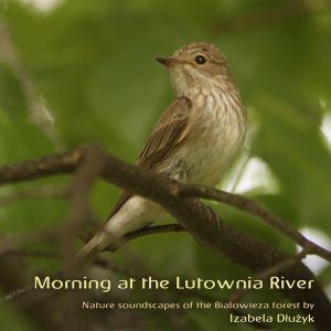 Morning at the Lutownia River