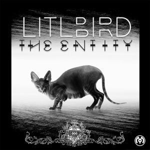 The Entity (EP)