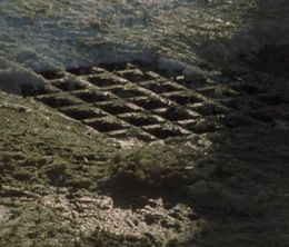 image-https://media.senscritique.com/media/000018713864/0/exile.jpg