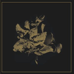 Split w/ The Gentle Art Of Chokin' (EP)