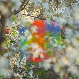 Teenage Birdsong (Single)
