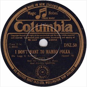 The Year We Fell in Love / I Don’t Want to Mambo Polka (Single)