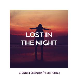 Lost in the Night (Single)