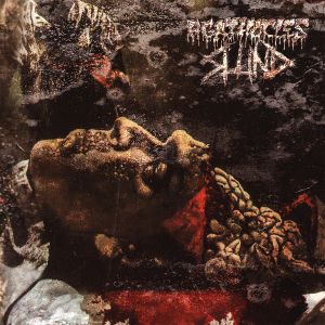 Agathocles / Slund (EP)