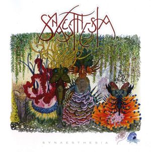 Synaesthesia