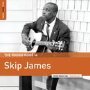 Pochette The Rough Guide to Skip James