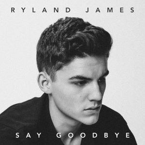 Say Goodbye (acoustic version)