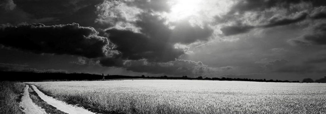 Cover The Painted Bird