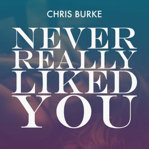 Never Really Liked You (Extended Mix)