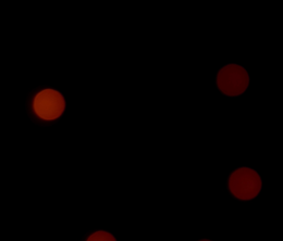 image-https://media.senscritique.com/media/000018725919/0/satan.png