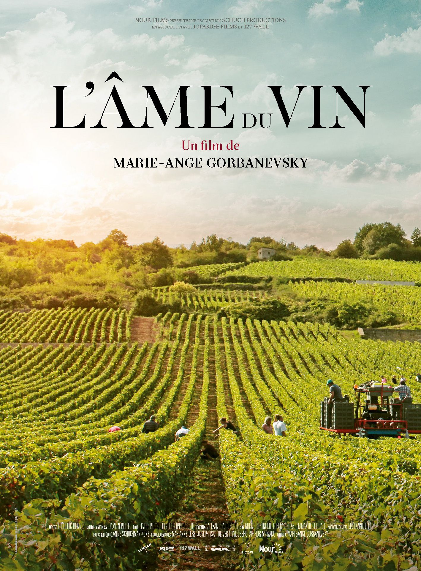 Film L'ame Du Vin