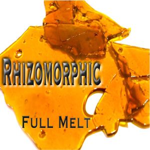 Full Melt (Single)