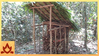 Wood shed and Native bee honey