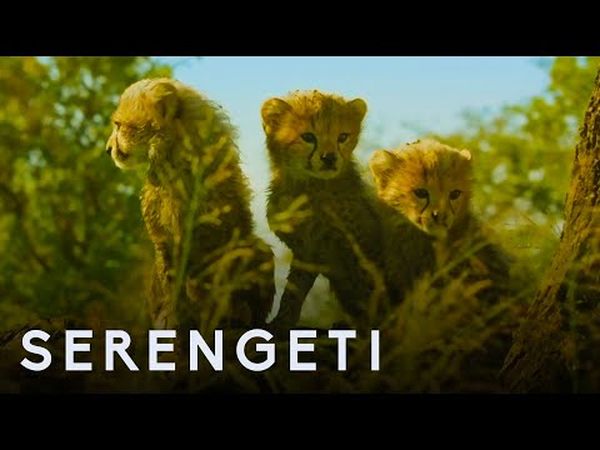 Serengeti