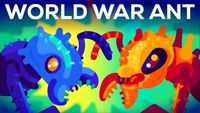 The World War of the Ants – The Army Ant