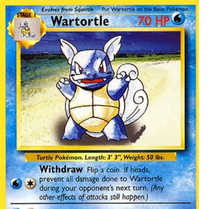 Abused Wartortle Takes Panhandle