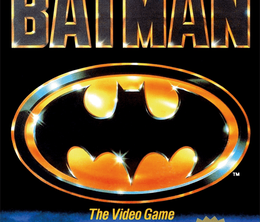 image-https://media.senscritique.com/media/000018741701/0/batman_the_video_game.png
