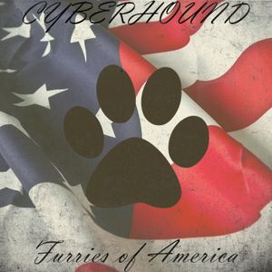 Furries of America (Single)