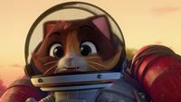 Cosmo, the Astronaut Cat