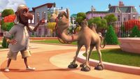 Four Cats and a Camel