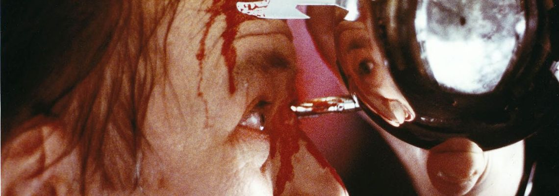 Cover Phantasm II