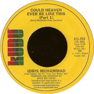 Could Heaven Ever Be Like This (Single)
