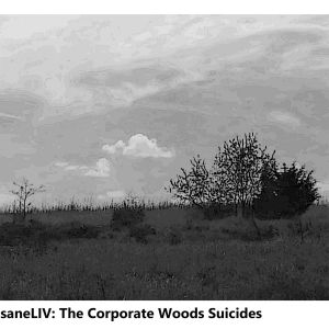 The Corporate Woods Suicides