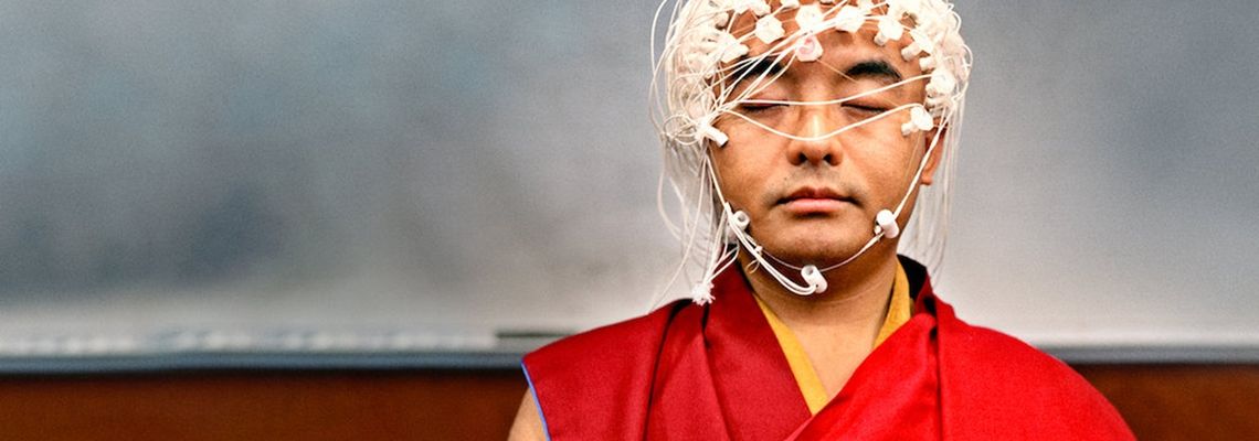 Cover Le cerveau, en bref