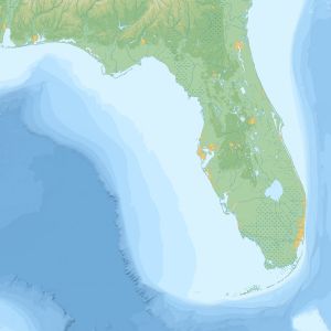 Peninsula Selects, Vol. 10