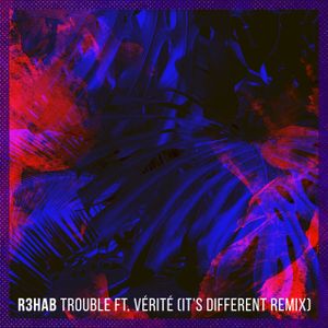 Trouble (it’s different remix)