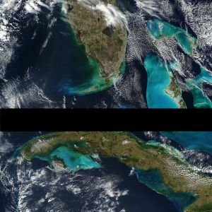 Peninsula Selects, Vol. 8