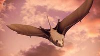 When Bats Took Flight